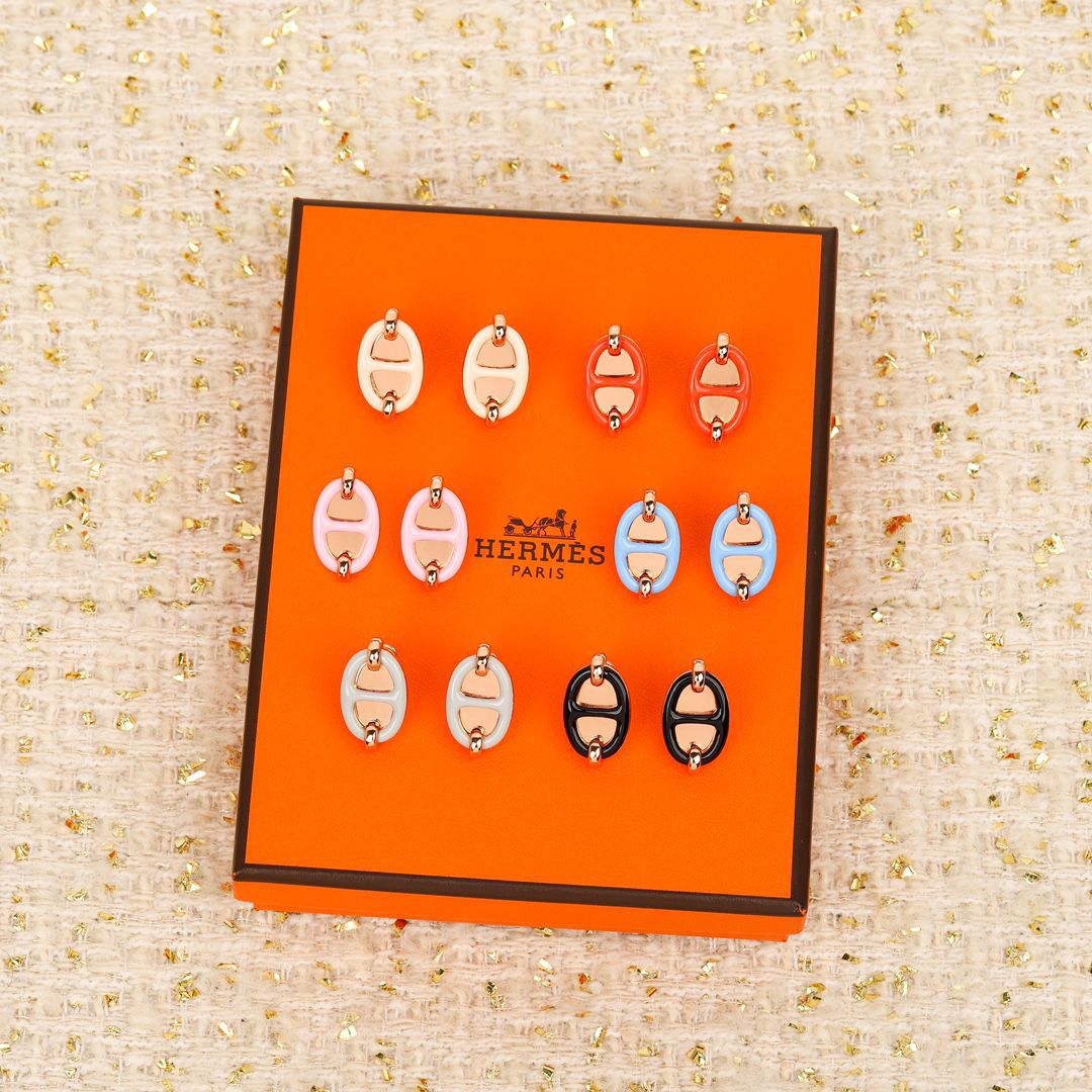 Hermes Earrings HE90101