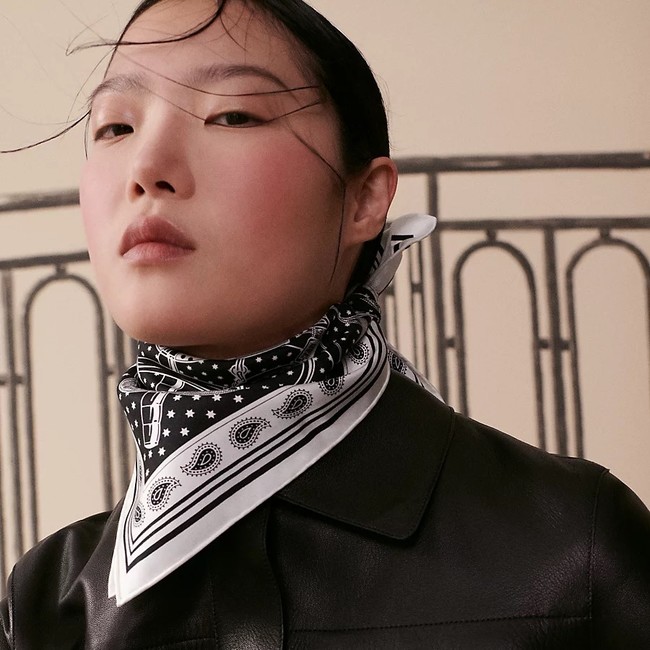 Hermes Shawl Cashmere and Silk Jacquard KY098