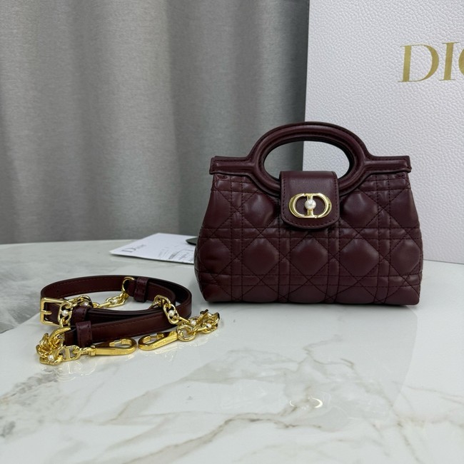 Dior Jolie Top Handle Mini Bag Cannage Lambskin S3123UN burgundy