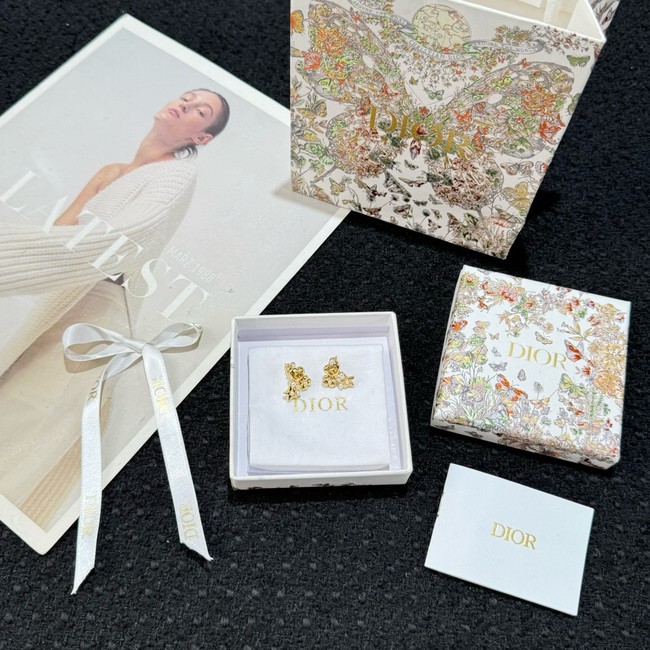 Dior Earring CE81596