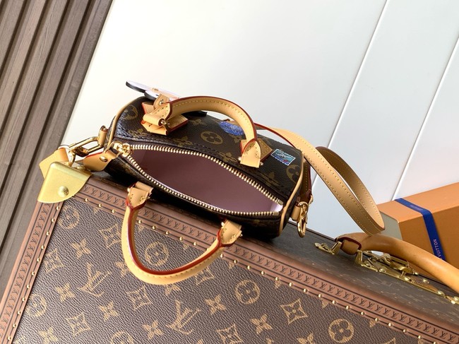 Louis Vuitton Nano Speedy M15330