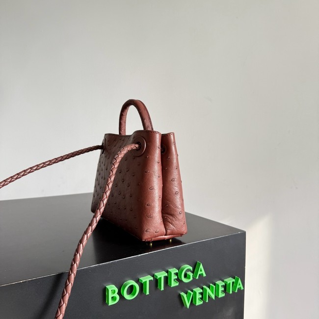 Bottega Veneta Mini Andiamo Sapele 805232 Sapele