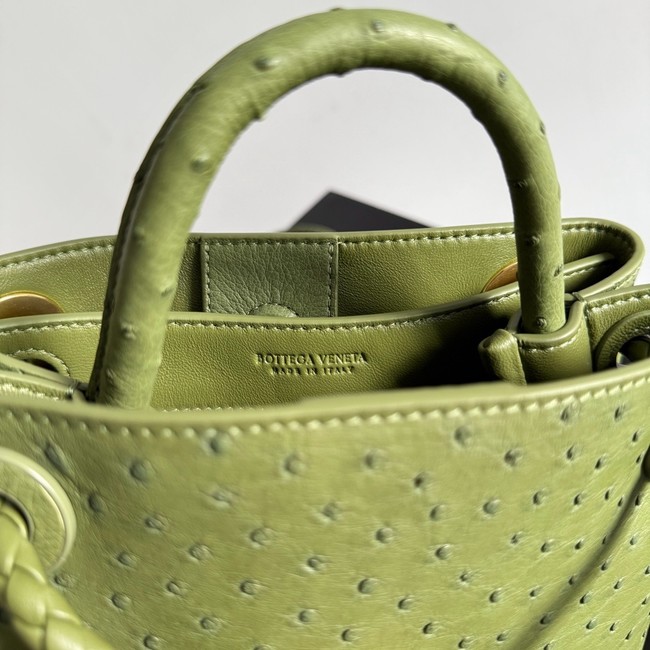 Bottega Veneta Mini Andiamo Sapele 805232 green
