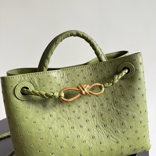 Bottega Veneta Small Andiamo 805231 Mud