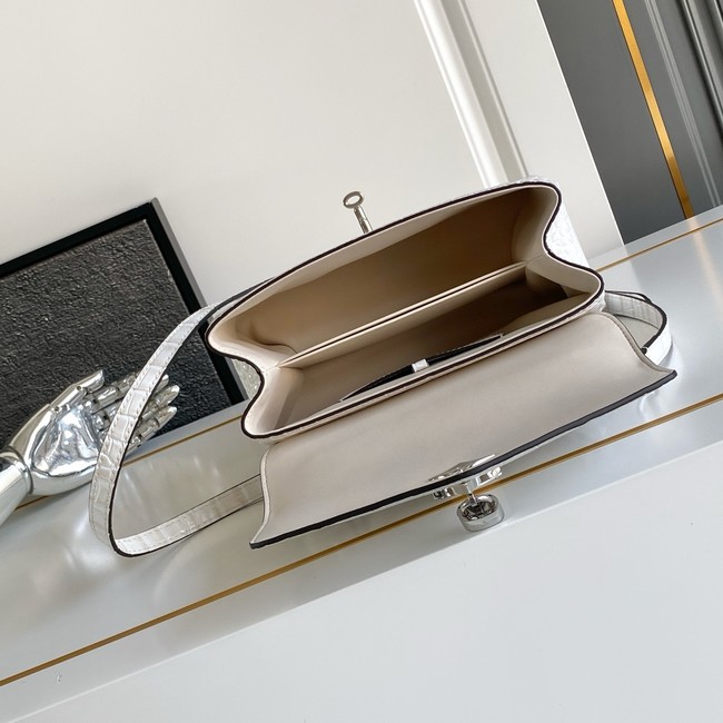 Louis Vuitton Calfskin M84714 light gray