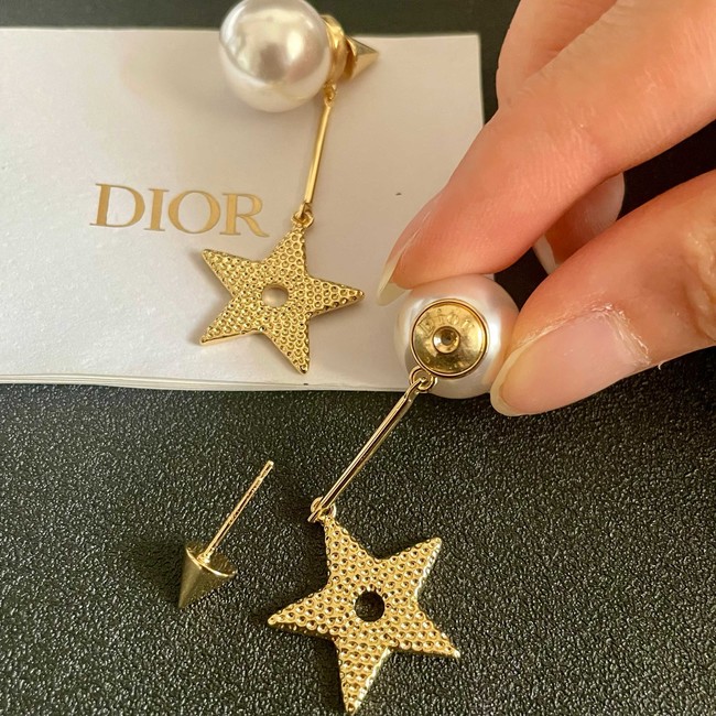 Dior Earring CE81956