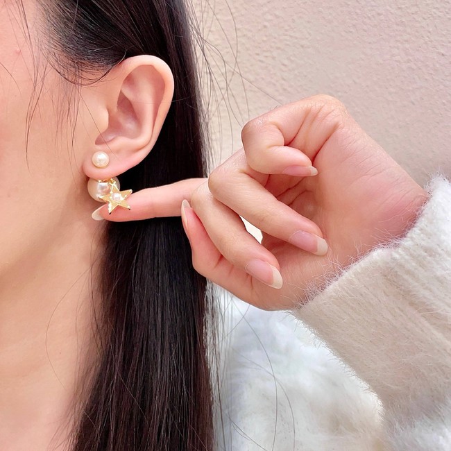 Dior Earring CE81957