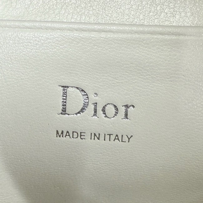 Dior Bow Pouch Supple Lambskin S3900PQ Latte