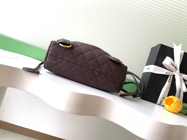 Chanel Lambskin Hobo Bag AS5227 dark brown