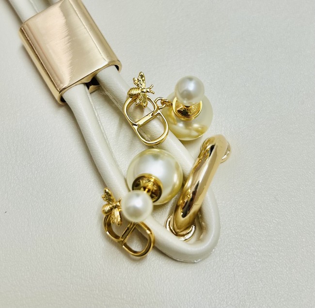 Dior Earrings CE89992