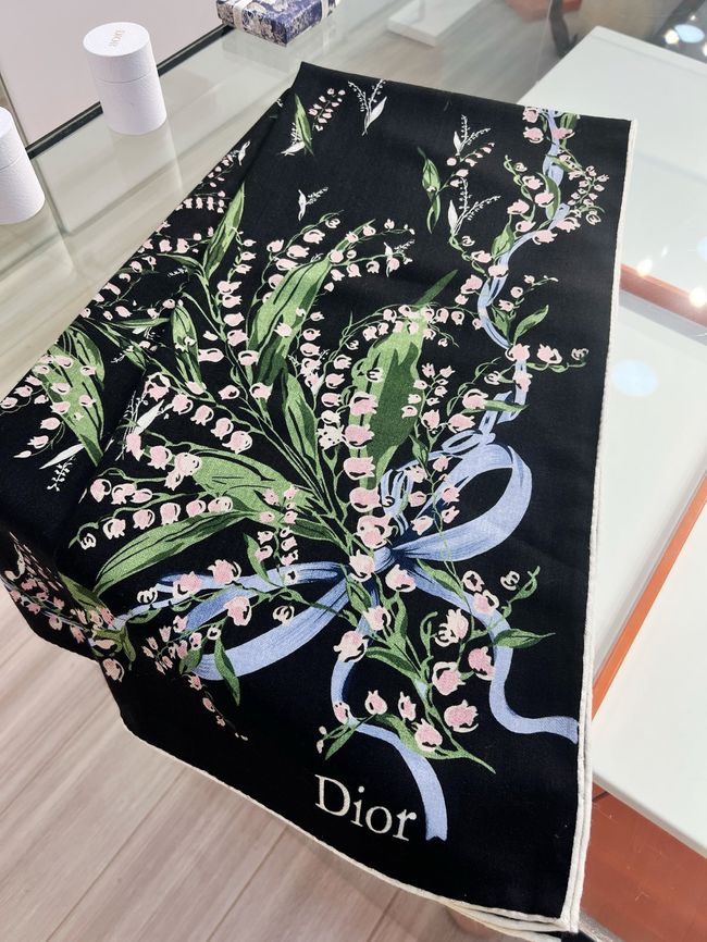 Dior Oblique Shawl L1168-2